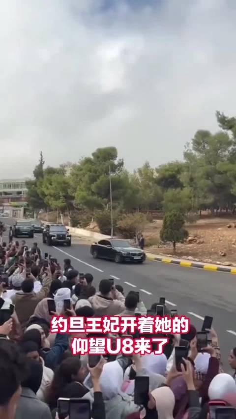 好了，以后保镖乘坐BBA、王妃王子们乘坐仰望U8、U8L一类的中国车就好了