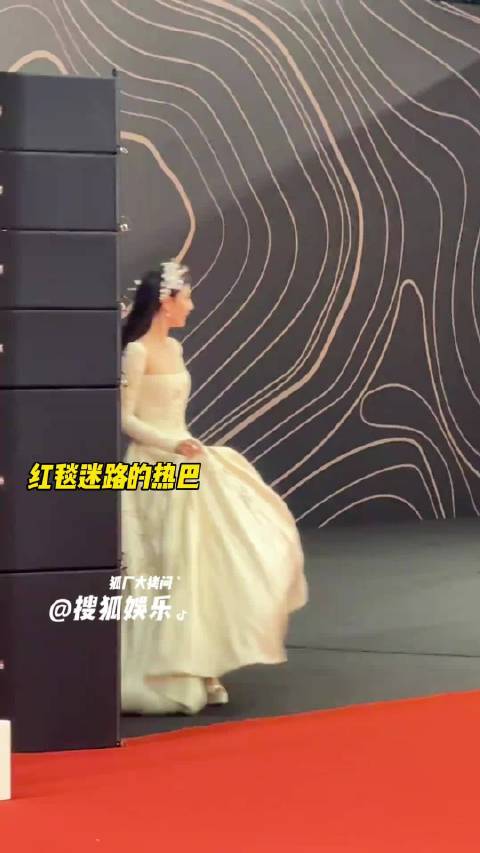 红毯惊艳亮相，小迪迪迷路显可爱