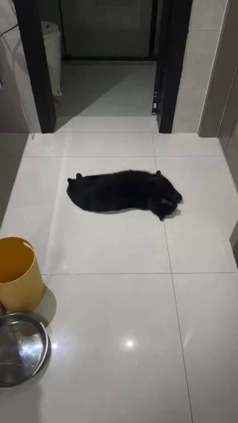 走入小乔家那一刻 就看到一辆黑色卡车