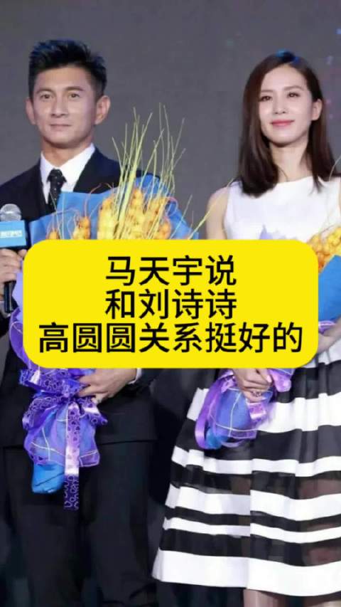 马天宇说和刘诗诗、高圆圆关系好，但不常见面