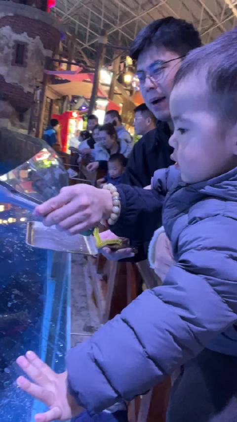 喂海狮 妈呀我快吓彪了