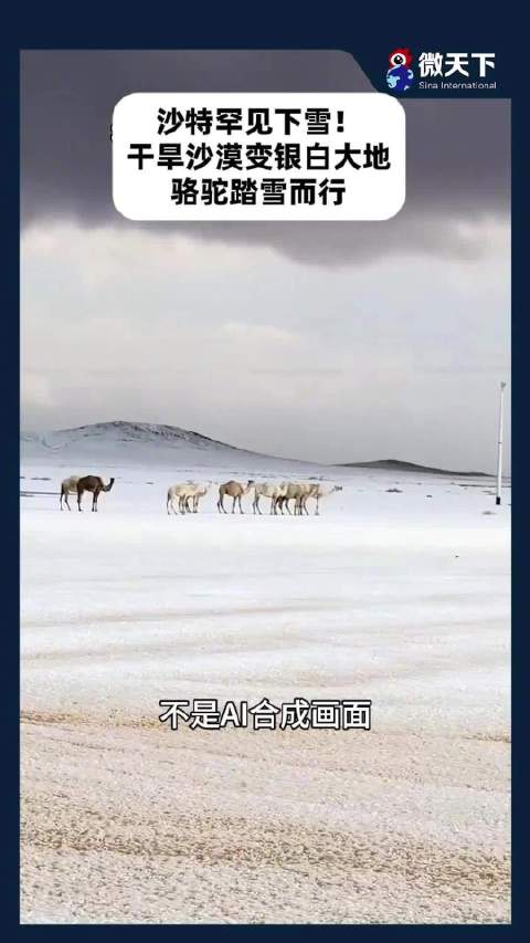 干旱沙漠变银白大地，骆驼踏雪而行