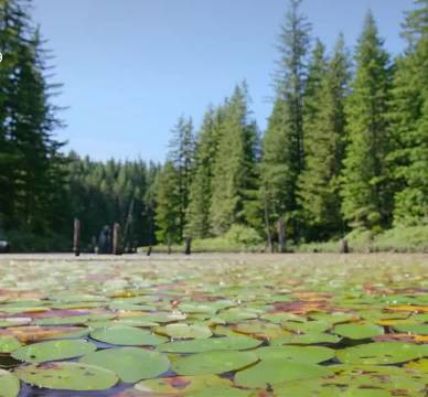 这动物世界比以前好玩多了