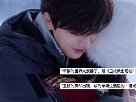 好喜欢这一段 卫枝的温柔让人轻易沦陷 迷上嘘国王在冬眠易如反掌