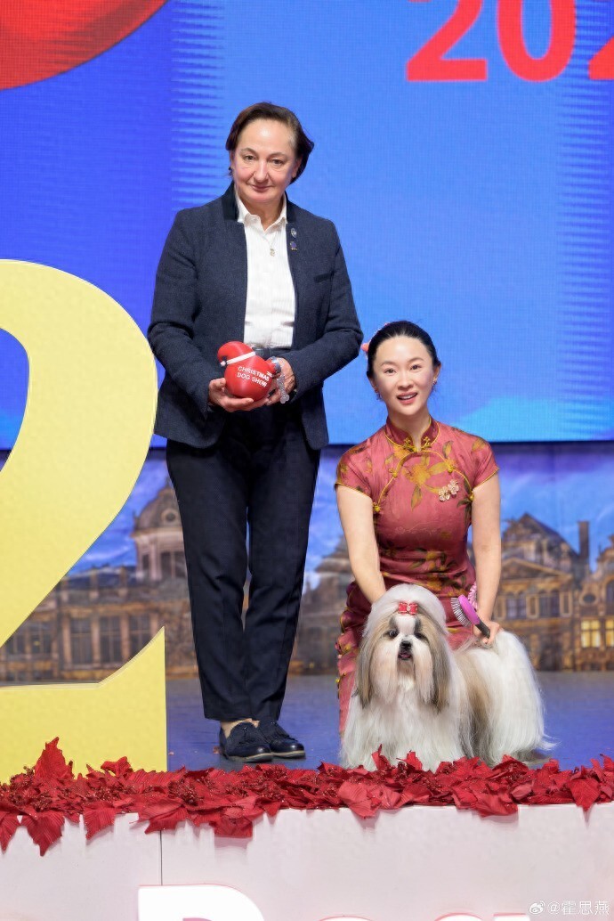 演员霍思燕穿旗袍带西施犬夺冠，丈夫杜江夸赞“唯一的中国团队”，创造历史！