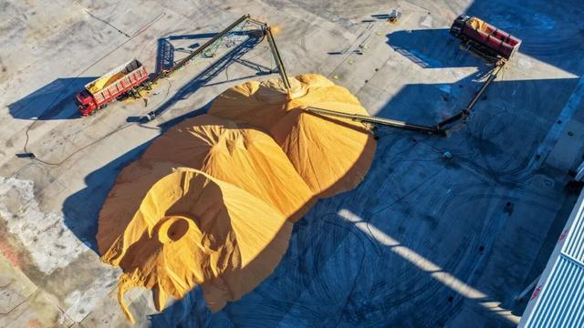 莫力庙中稷粮贸有限公司莫力庙粮库，金黄玉米归仓忙。张启民 摄