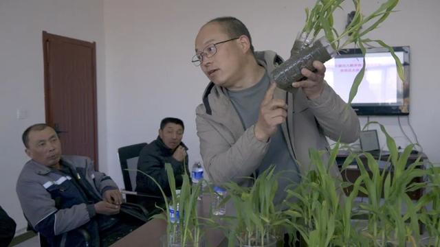 刘大鹏向种植户传授种植技术。