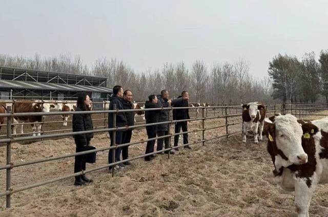 李昊带领团队在进行技术指导。