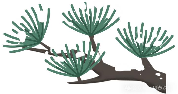 翠峦驭雪 燃情越野 2025年冬季林海雪原汽车越野活动开幕