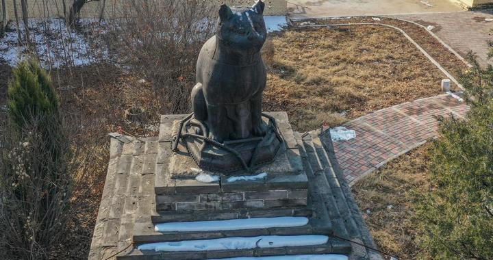 光会卖萌可不够，这些古建里的小动物各个“身负重任”