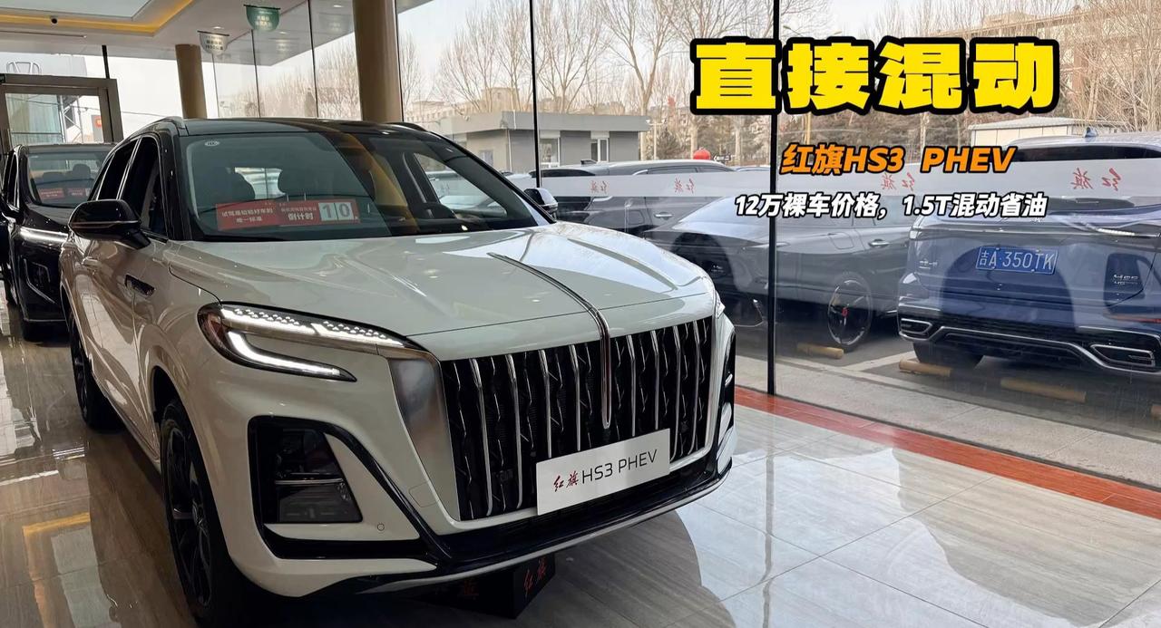 最便宜的红旗SUV HS3 PHEV第二排可坐1米83壮汉 推荐中配合适