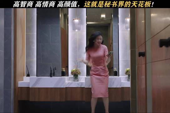 秘书界的天花板，她年入百万我是一点都不眼红 靳东