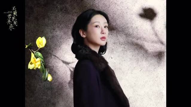 杨紫新剧玉兰花开君再来开机，饰演传奇人物董竹君