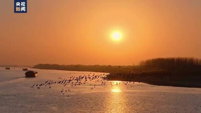 芜湖晚霞与鸟群共舞演绎千年诗意