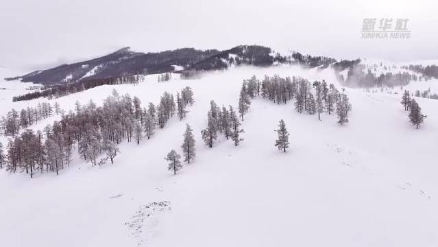 新疆哈巴河雾凇如动态水墨画，刘宇宁献声冰雪秘境
