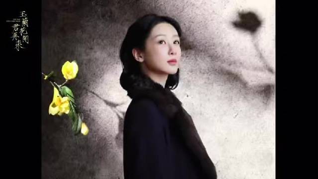 杨紫新剧玉兰花开君再来开机，饰演传奇人物董竹君