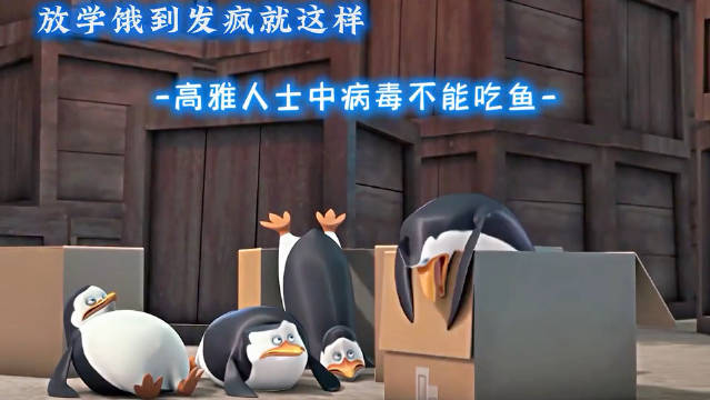 马达加斯加的企鹅丨不开玩笑，我饿急眼了可以吃下一头牛