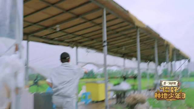 赵小童三步上房躲猫猫，蒋敦豪惊讶追问方法