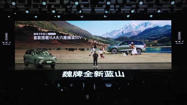 蓝山VLA大模型首秀，魏建军赌姓造车诠释安全价值观