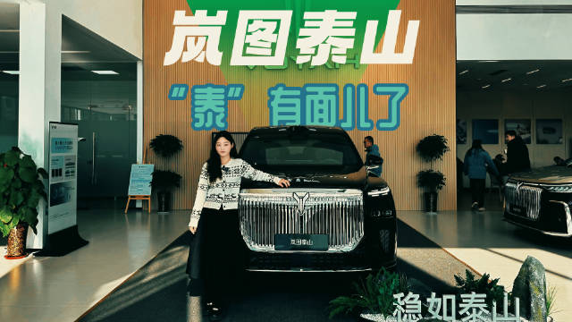 岚图泰山破译流量密码