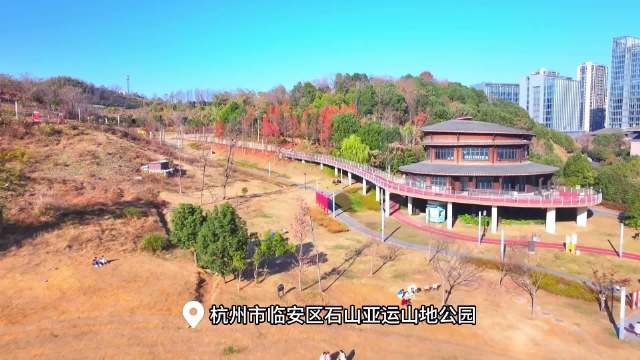 杭州山野入冬绘就静谧彩卷