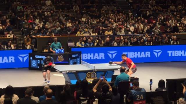 樊振东退榜一年专注热爱，国内赛场横扫乒超全运