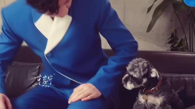 刘宇宁从用户逆袭代言人，歌手演员双线发展