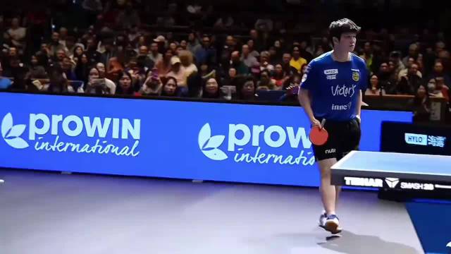 德甲小镇现中国面孔樊振东，尹航解说游刃有余