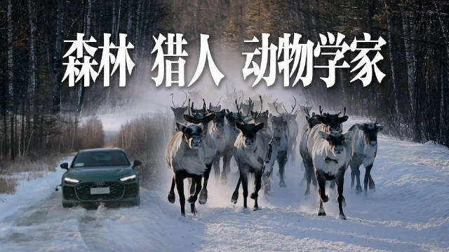 quattro走进大森林！寻找真正的鄂温克驯鹿人