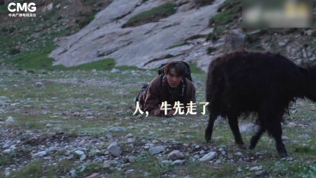 笑发财了！胡歌喜剧天赋藏不住了