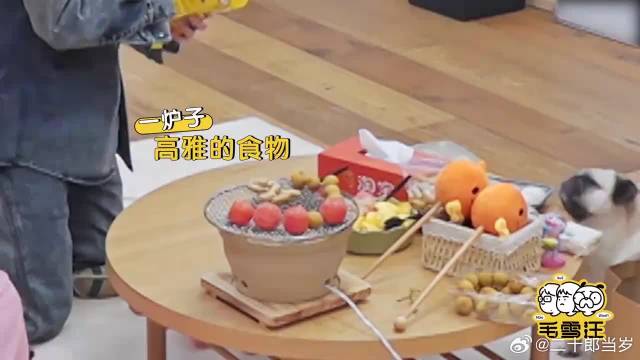 章若楠私下竟是这样的？不管谁叫她玩，她都一定会拒绝！