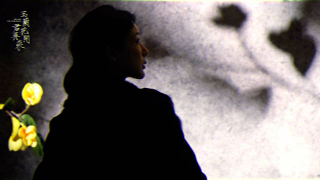 杨紫青衣饼一个接一个拿