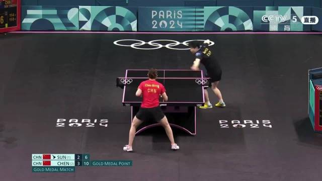 奥运冠军樊振东陈梦搭档朱雨玲完成职业生涯谢幕战