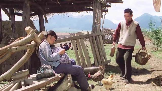 一口气看完电影《牧马人》