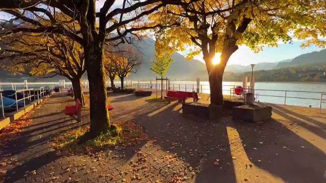 阳光信用超话互动指南，极好信用可蹭可涨