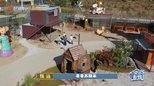 苏醒丽江获赠马耳大夫礼物，小刀老师传递保持天真