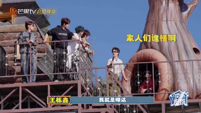 王栎鑫获赠快乐老友记定制树屋