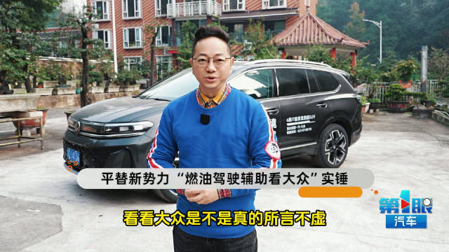 平替新势力 “燃油驾驶辅助看大众”实锤