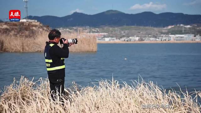 56岁鸟叔花了36年守护候鸟
