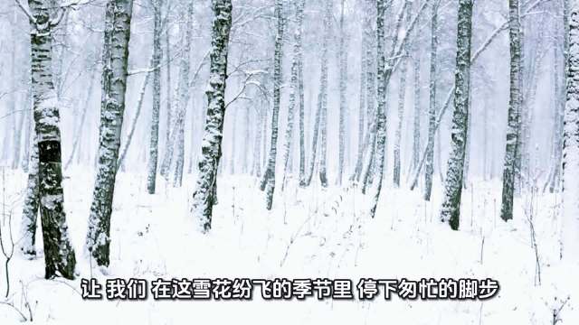 雪花纷飞季节邀您感受宁静美好