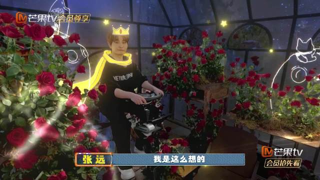 张远花房打造鸟巢造型，温暖浪漫引热议