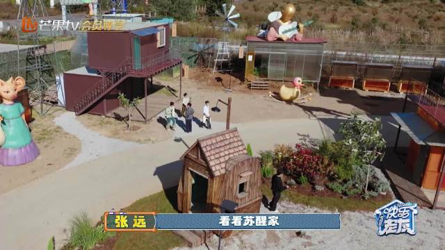 苏醒丽江家建马耳大夫谐音梗获赞