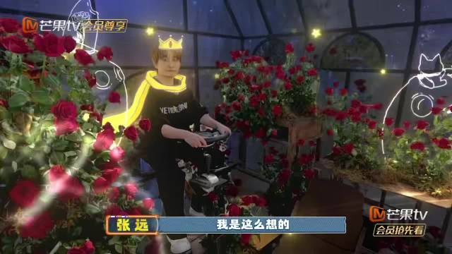 张远如愿入住定制鸟巢，童话式设计引赞叹