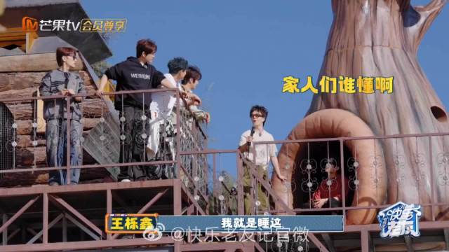 王栎鑫许愿住树屋，巨型树屋空降快乐老友记