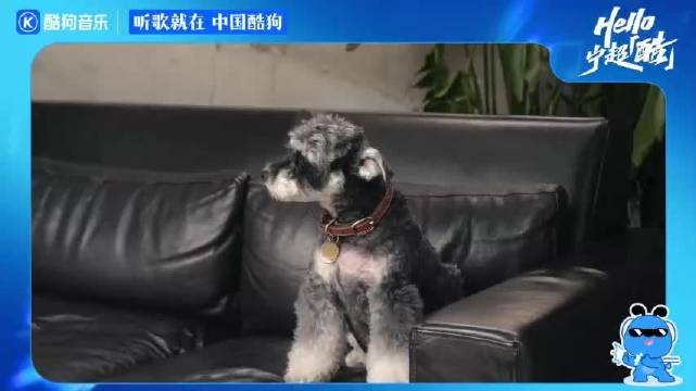 刘宇宁官宣成为酷狗代言人