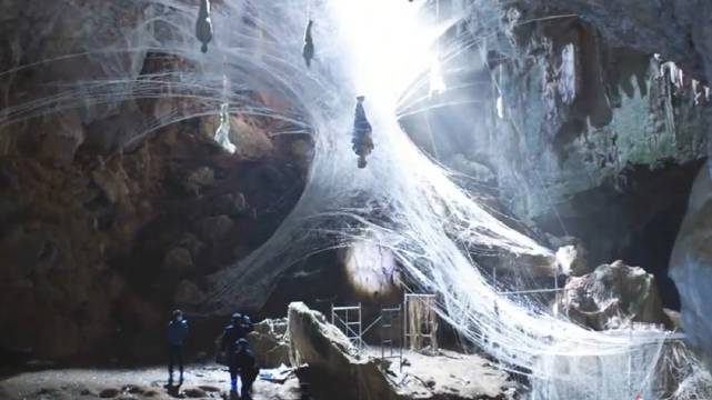 罗云熙饰演齐思哲带队入局破茧之战