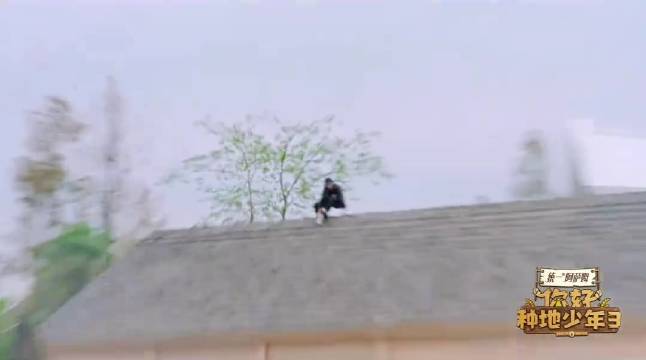 我不行了哈哈哈哈这个赵小童 谁能藏得过你呀嘿嘿嘿一会不见就上房顶了