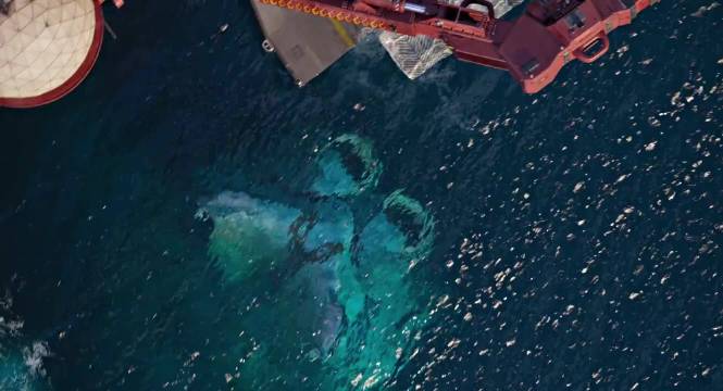 阿凡达3开票了，到底好不好看呢？