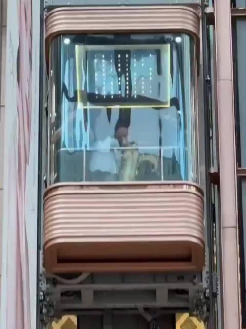 赵丽颖幽默回应想当作家，称就是坐在家里