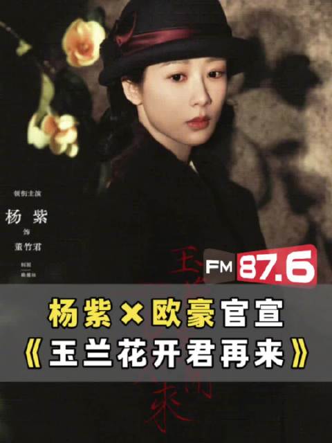 杨紫欧豪新剧玉兰花开君再来开机
